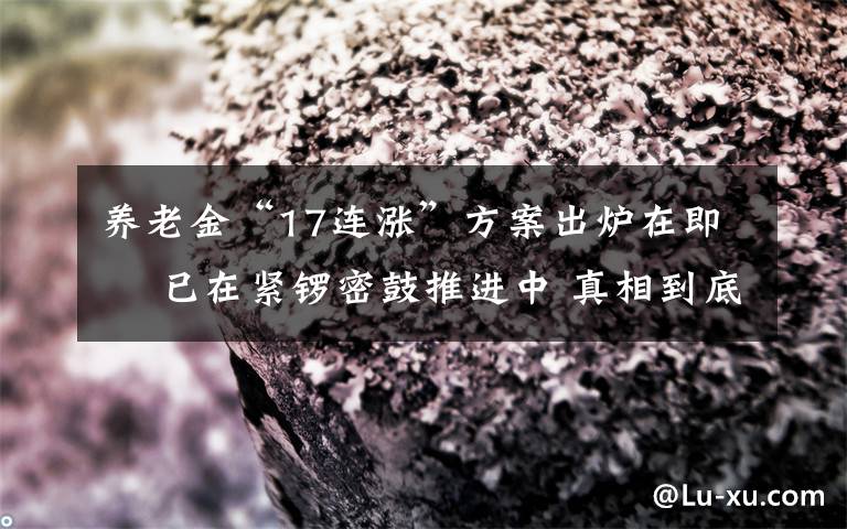 养老金“17连涨”方案出炉在即  已在紧锣密鼓推进中 真相到底是怎样的?