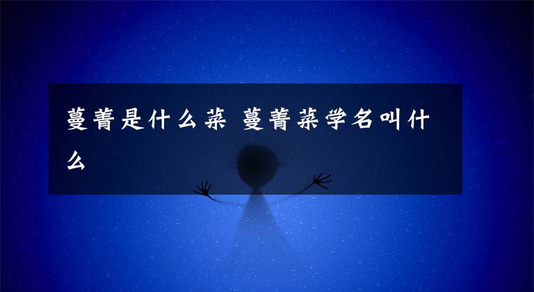 蔓菁是什么菜 蔓菁菜学名叫什么