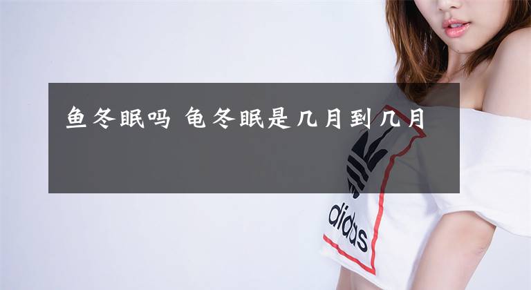 鱼冬眠吗 龟冬眠是几月到几月