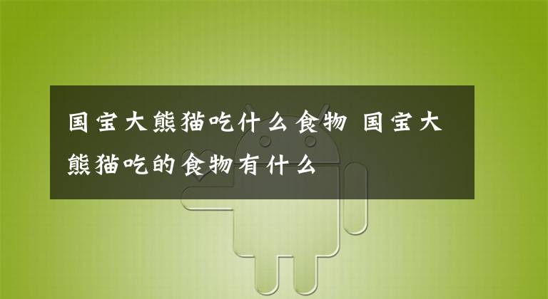 国宝大熊猫吃什么食物 国宝大熊猫吃的食物有什么