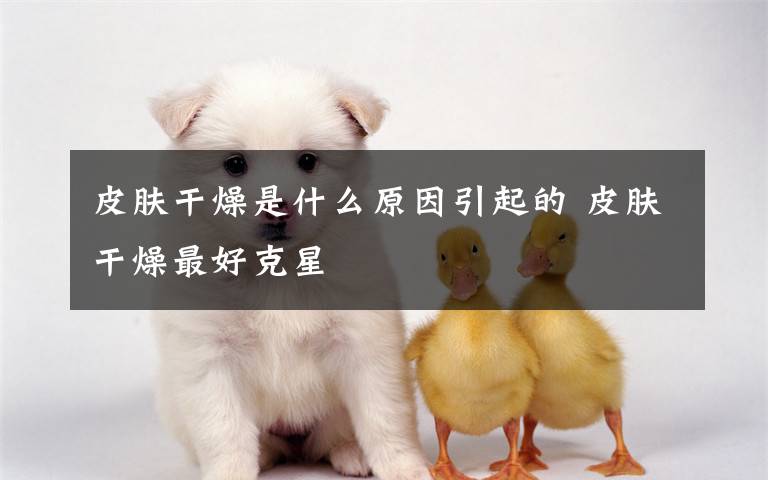 皮肤干燥是什么原因引起的 皮肤干燥最好克星