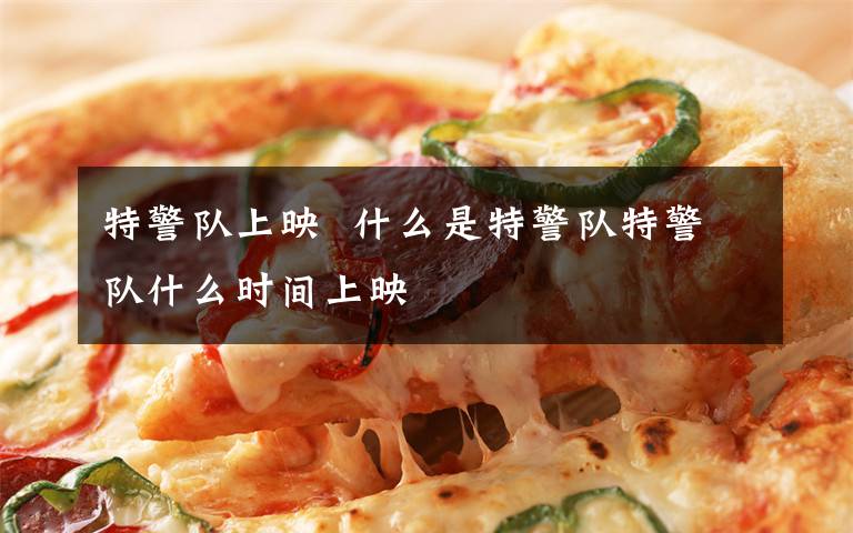 特警队上映  什么是特警队特警队什么时间上映