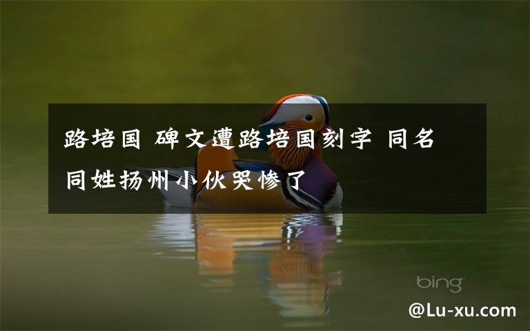 路培国 碑文遭路培国刻字 同名同姓扬州小伙哭惨了