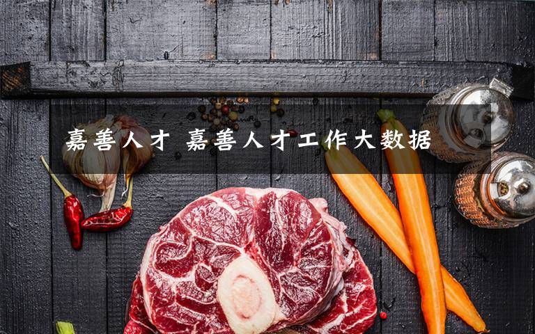 嘉善人才 嘉善人才工作大数据