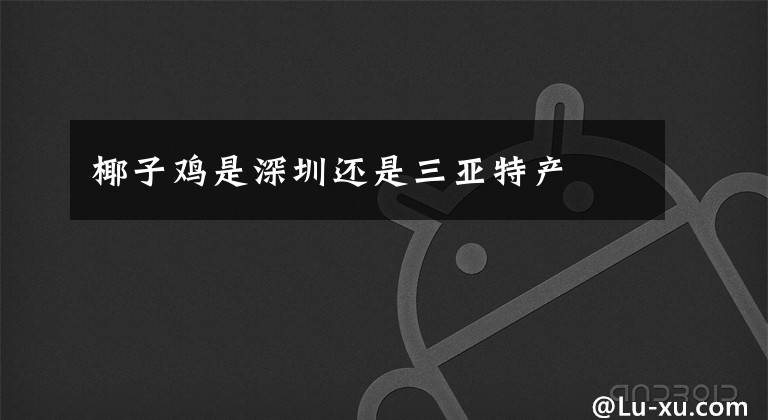 椰子鸡是深圳还是三亚特产