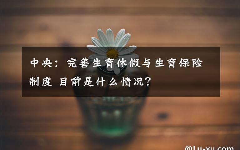 中央:完善生育休假与生育保险制度 目前是什么情况?