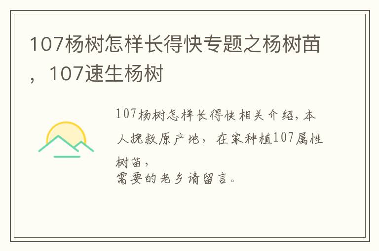 107杨树怎样长得快专题之杨树苗,107速生杨树