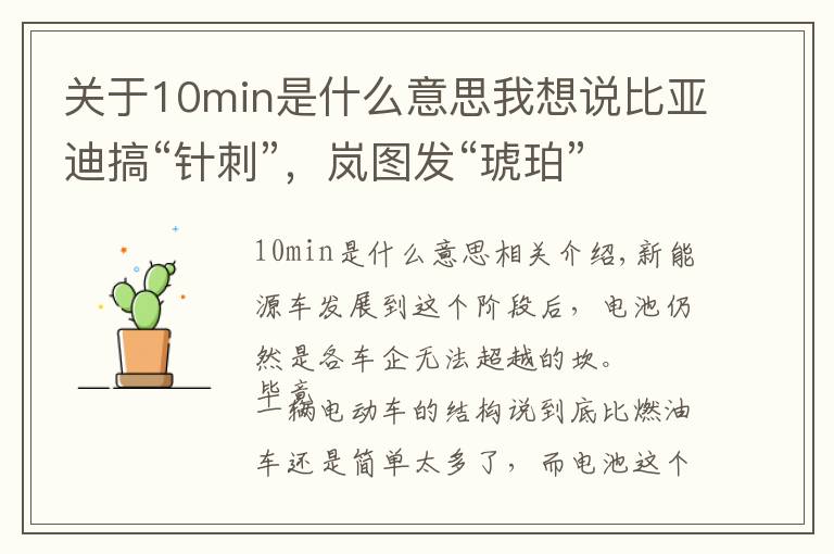关于10min是什么意思我想说比亚迪搞“针刺”，岚图发“琥珀”“云母”，他们都有光明的未来