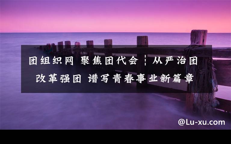 团组织网 聚焦团代会┆从严治团  改革强团 谱写青春事业新篇章