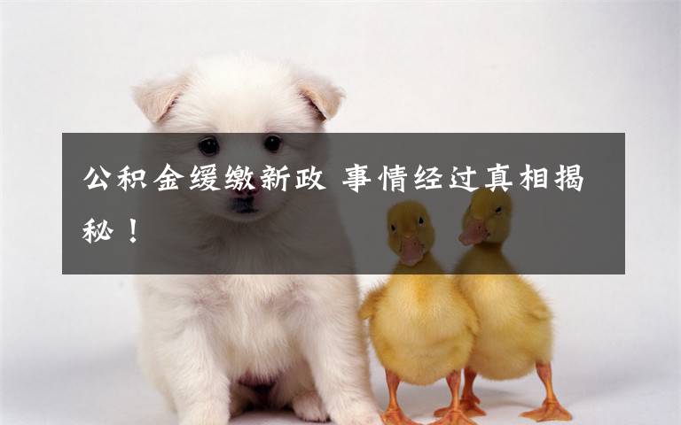 公积金缓缴新政 事情经过真相揭秘!