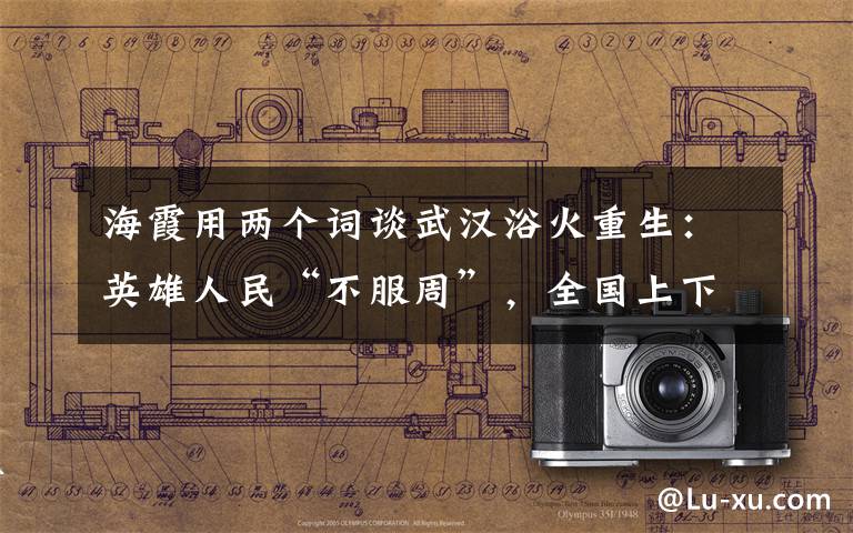 海霞用两个词谈武汉浴火重生:英雄人民“不服周”,全国上下“搭把手”! 事情经过真相揭秘!