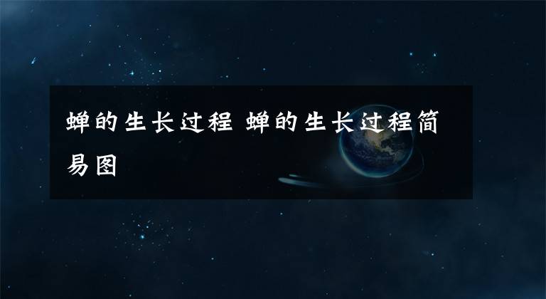 蝉的生长过程 蝉的生长过程简易图