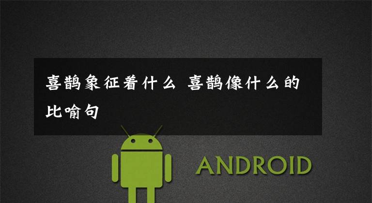 喜鹊象征着什么 喜鹊像什么的比喻句