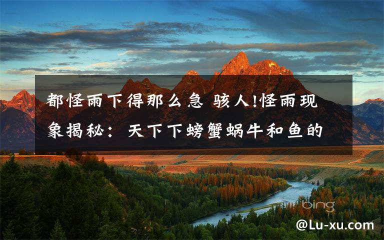 都怪雨下得那么急 骇人!怪雨现象揭秘:天下下螃蟹蜗牛和鱼的原因