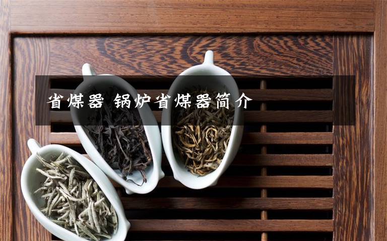 省煤器 锅炉省煤器简介