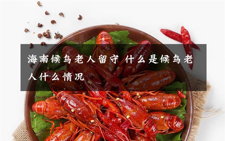 海南候鸟老人留守 什么是候鸟老人什么情况