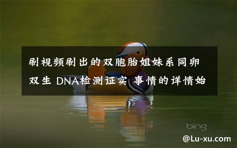 刷视频刷出的双胞胎姐妹系同卵双生 DNA检测证实 事情的详情始末是怎么样了!