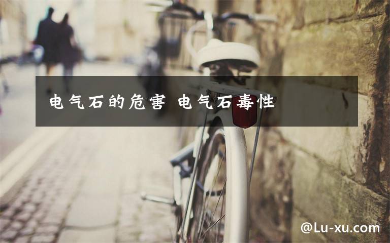 电气石的危害 电气石毒性