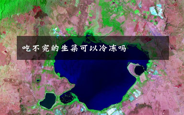 吃不完的生菜可以冷冻吗