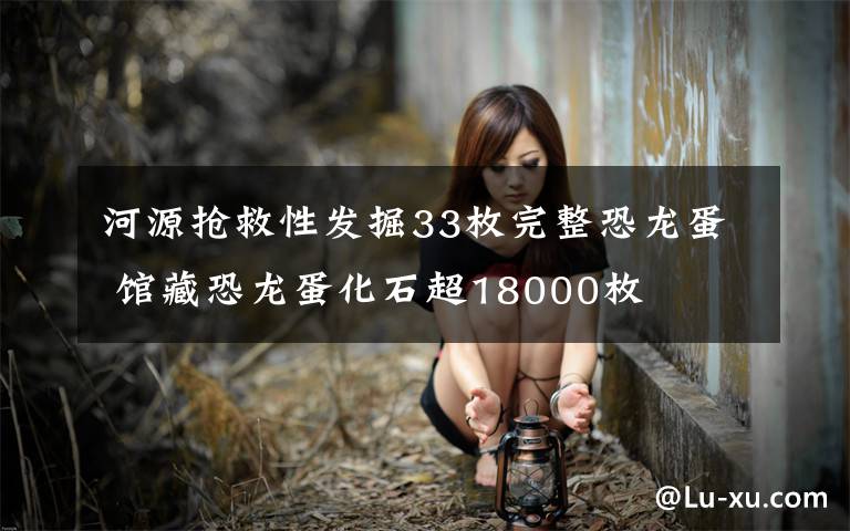 河源抢救性发掘33枚完整恐龙蛋 馆藏恐龙蛋化石超18000枚