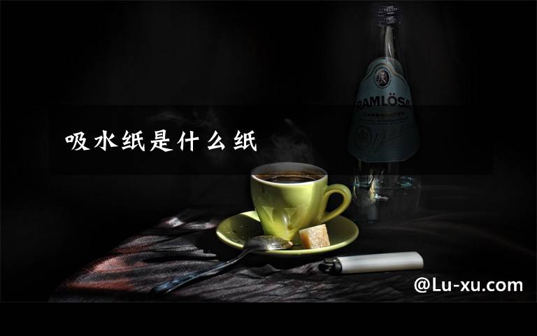 吸水纸是什么纸