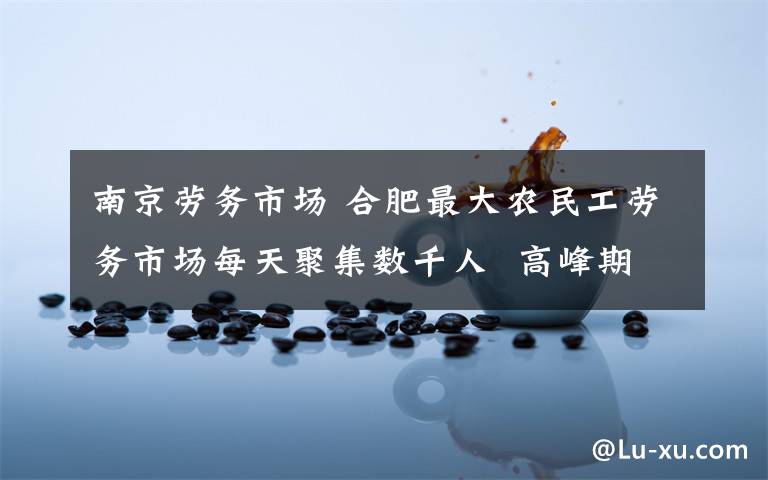 南京劳务市场 合肥最大农民工劳务市场每天聚集数千人 高峰期致交通中断