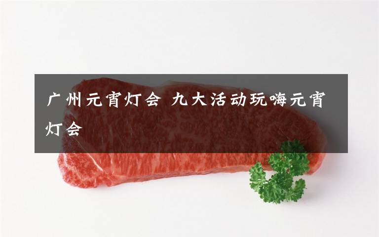 广州元宵灯会 九大活动玩嗨元宵灯会