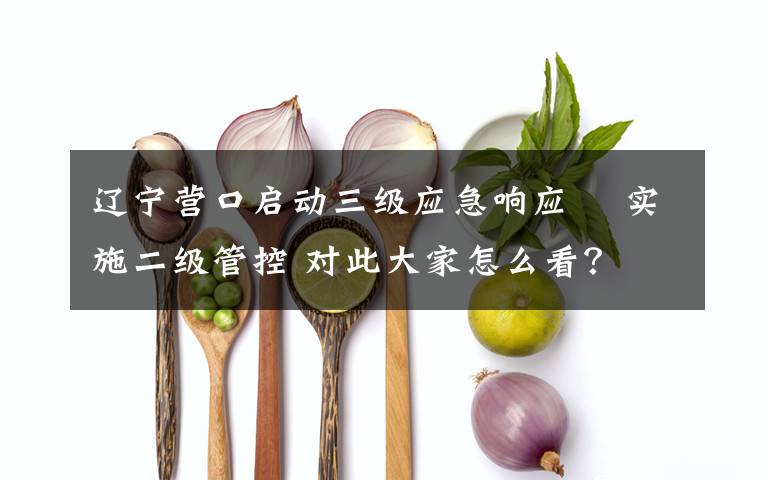 辽宁营口启动三级应急响应  实施二级管控 对此大家怎么看?