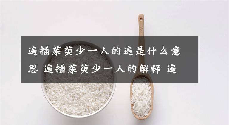 遍插茱萸少一人的遍是什么意思 遍插茱萸少一人的解释 遍插茱萸代表什么寓意