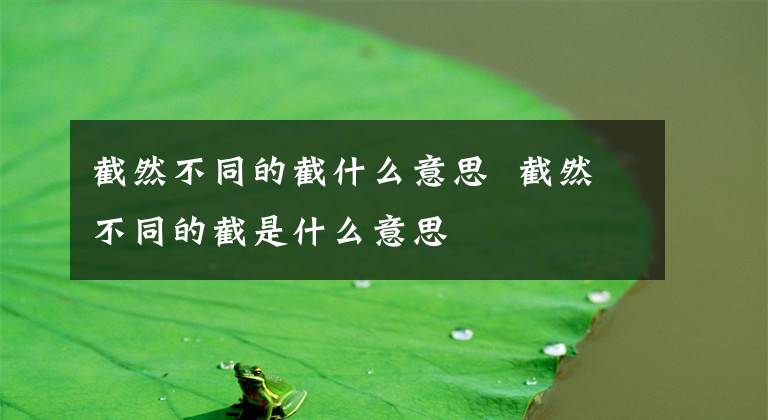 截然不同的截什么意思 截然不同的截是什么意思