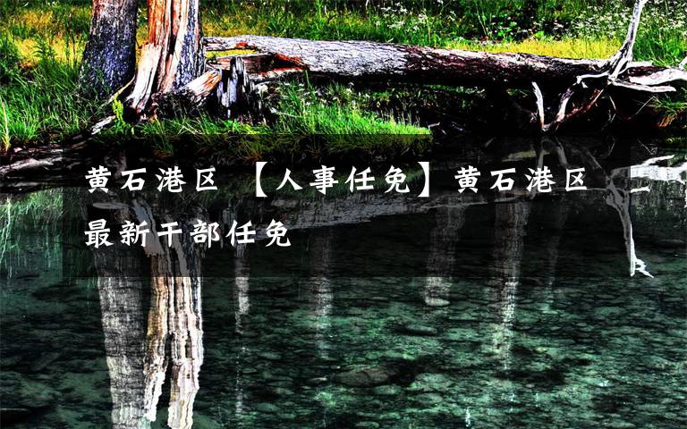 黄石港区 【人事任免】黄石港区最新干部任免