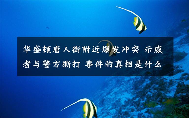 华盛顿唐人街附近爆发冲突 示威者与警方撕打 事件的真相是什么?