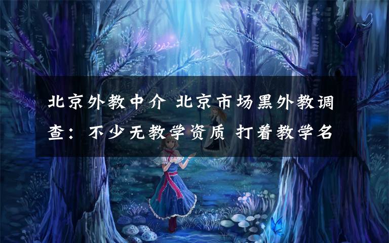 北京外教中介 北京市场黑外教调查:不少无教学资质 打着教学名义找女朋友