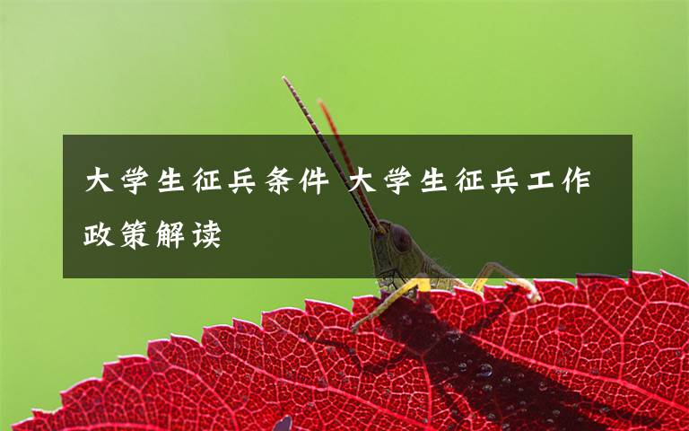 大学生征兵条件 大学生征兵工作政策解读