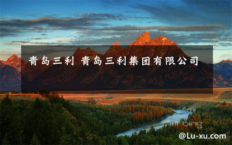 青岛三利 青岛三利集团有限公司