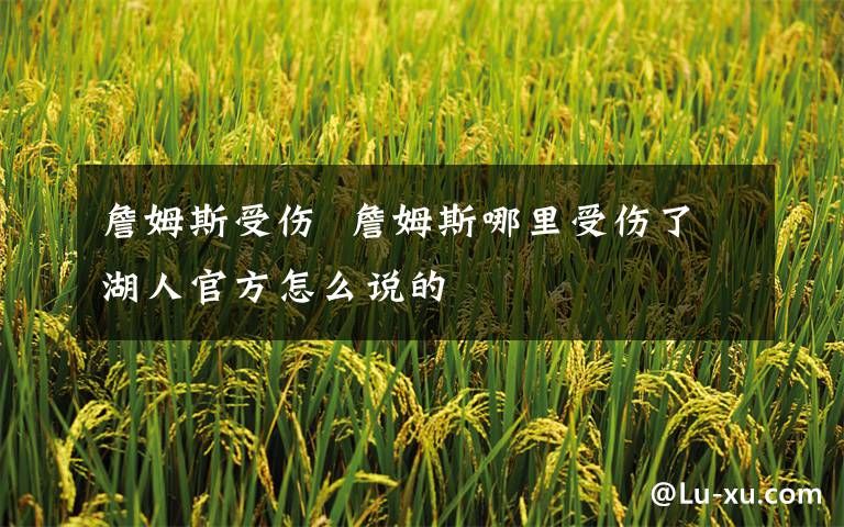 詹姆斯受伤  詹姆斯哪里受伤了湖人官方怎么说的