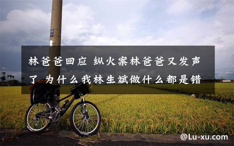 林爸爸回应 纵火案林爸爸又发声了 为什么我林生斌做什么都是错