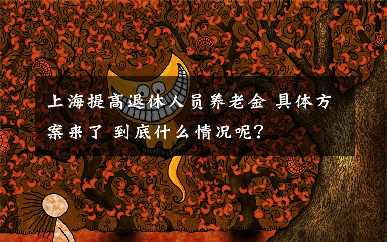 上海提高退休人员养老金 具体方案来了 到底什么情况呢？
