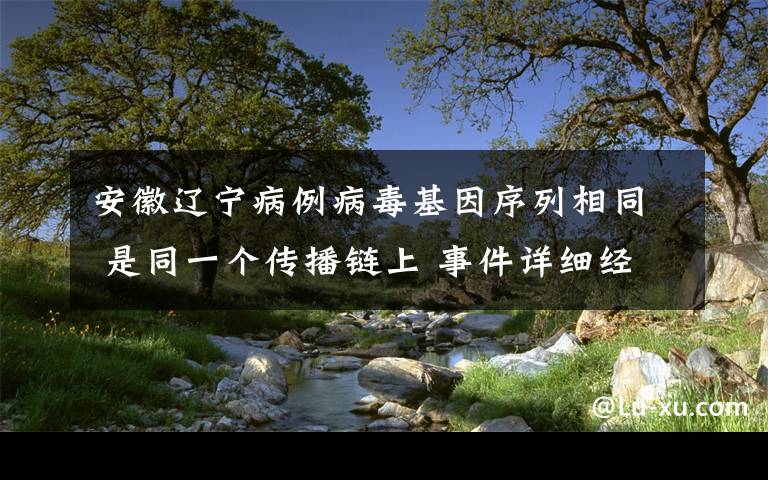 安徽辽宁病例病毒基因序列相同 是同一个传播链上 事件详细经过!