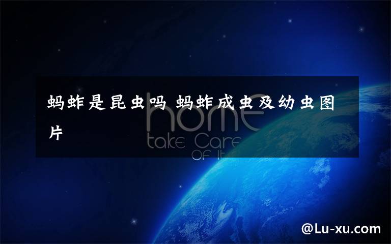 蚂蚱是昆虫吗 蚂蚱成虫及幼虫图片