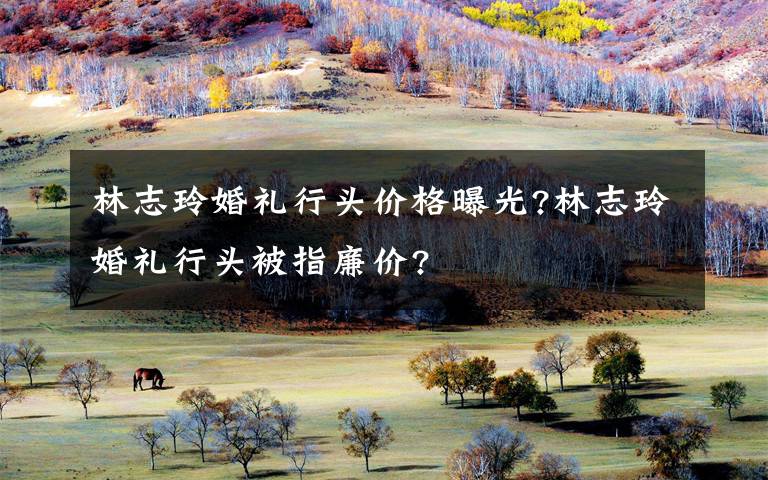 林志玲婚礼行头价格曝光?林志玲婚礼行头被指廉价?