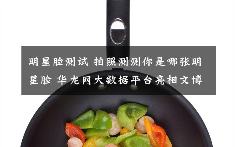 明星脸测试 拍照测测你是哪张明星脸 华龙网大数据平台亮相文博会受追捧