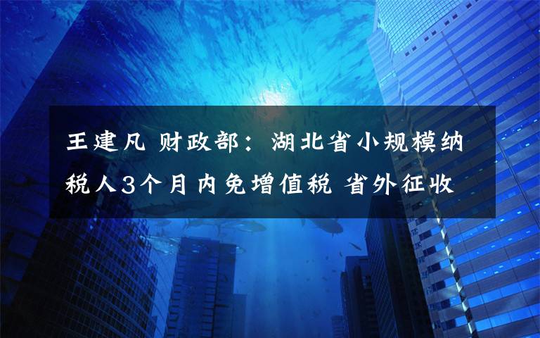 王建凡 财政部:湖北省小规模纳税人3个月内免增值税 省外征收率1%