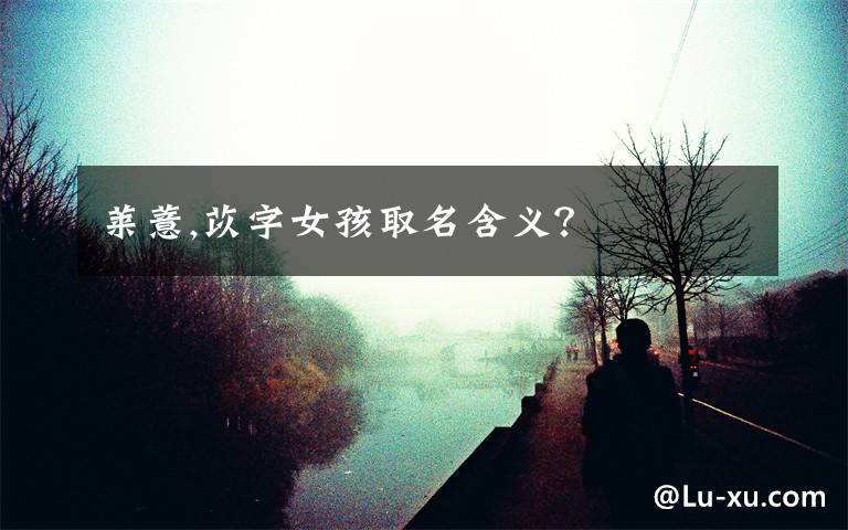 莱薏,苡字女孩取名含义？