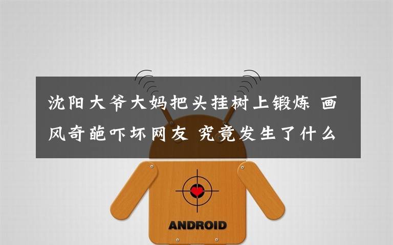 沈阳大爷大妈把头挂树上锻炼 画风奇葩吓坏网友 究竟发生了什么?