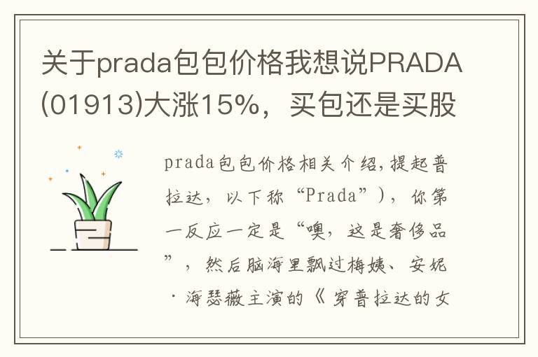关于prada包包价格我想说PRADA(01913)大涨15%,买包还是买股票?
