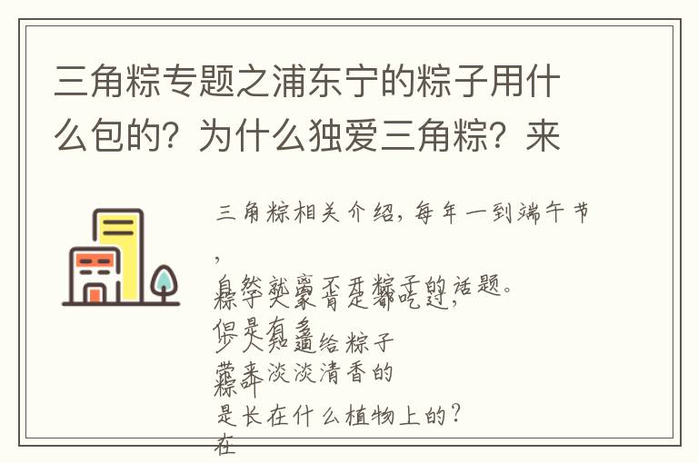 三角粽专题之浦东宁的粽子用什么包的?为什么独爱三角粽?来听民俗专家怎么说
