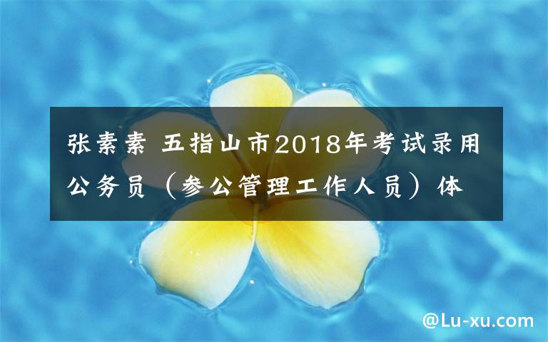 张素素 五指山市2018年考试录用公务员(参公管理工作人员)体检情况公示