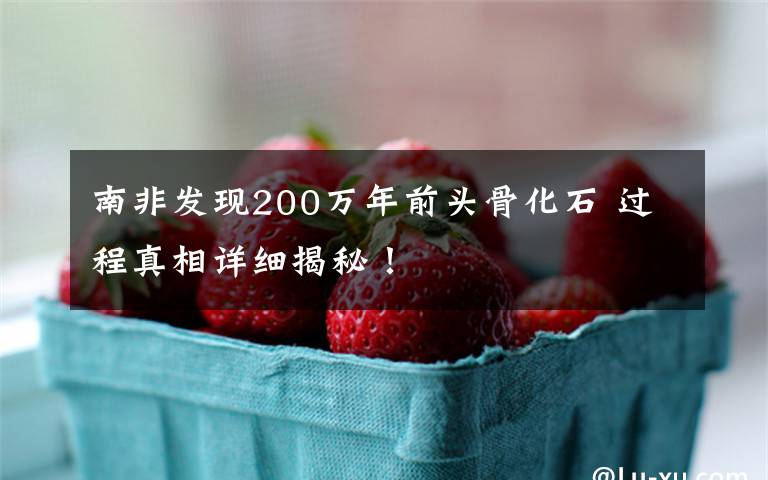 南非发现200万年前头骨化石 过程真相详细揭秘!
