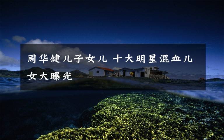 周华健儿子女儿 十大明星混血儿女大曝光